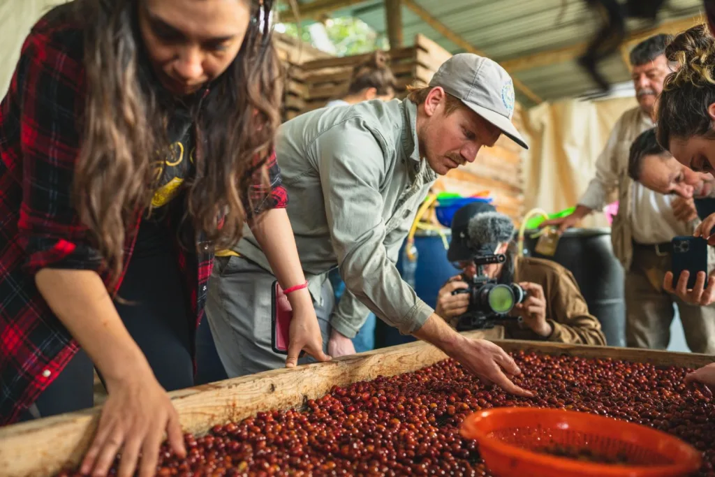 ¿Buscas dónde celebrar el Día del Padre? Descubre Coatepec, Veracruz, un Pueblo Mágico famoso por su café de altura, cascadas, haciendas históricas y paisajes naturales que lo convierten en una escapada perfecta para disfrutar en familia.