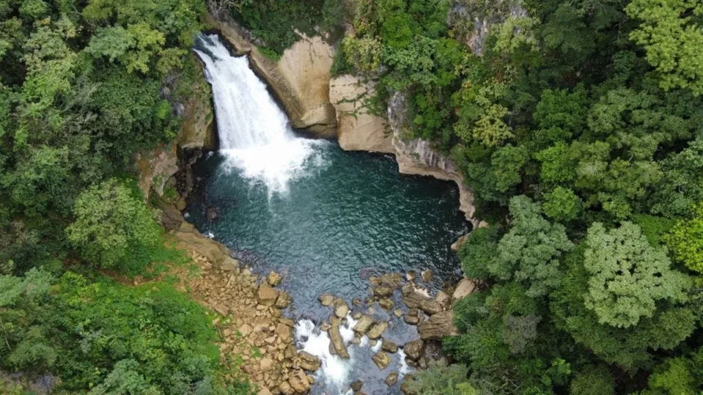 ¿Buscas dónde celebrar el Día del Padre? Descubre Coatepec, Veracruz, un Pueblo Mágico famoso por su café de altura, cascadas, haciendas históricas y paisajes naturales que lo convierten en una escapada perfecta para disfrutar en familia.