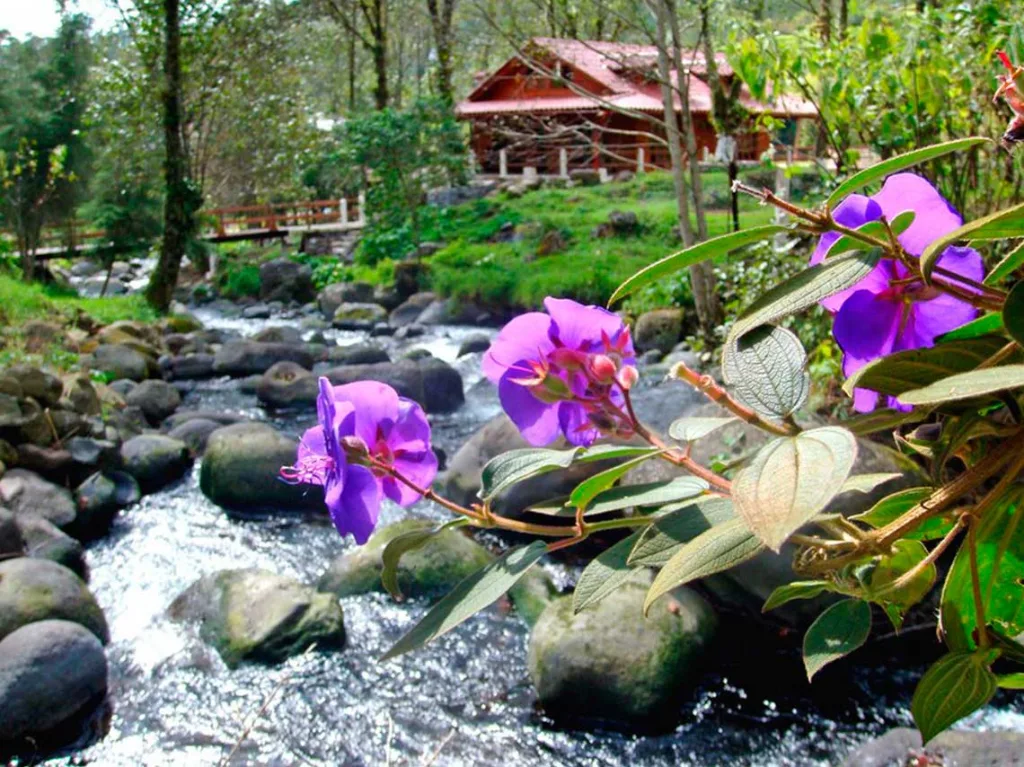 Descubre los pueblos más románticos de México para una escapada de fin de semana en pareja. En estos lugares encontrarás paisajes maravillosos, historia, gastronomía y momentos inolvidables. ¿Estás planeando una escapada?