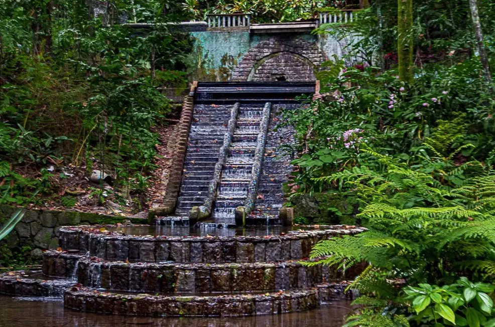 Conoce el Parque Los Tecajetes en Xalapa, Veracruz, un oasis urbano lleno de manantiales, cascadas y vegetación exuberante que muchos comparan con Xilitla. Descubre qué hacer y por qué debes visitarlo. ¿Ya lo conoces?