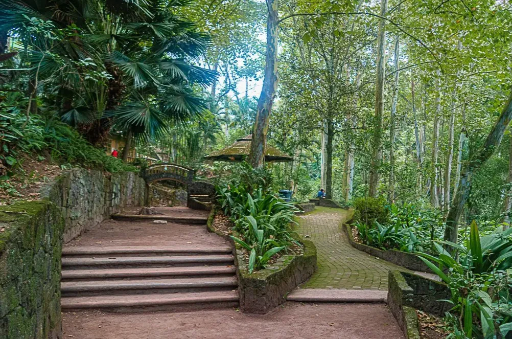 Conoce el Parque Los Tecajetes en Xalapa, Veracruz, un oasis urbano lleno de manantiales, cascadas y vegetación exuberante que muchos comparan con Xilitla. Descubre qué hacer y por qué debes visitarlo. ¿Ya lo conoces?