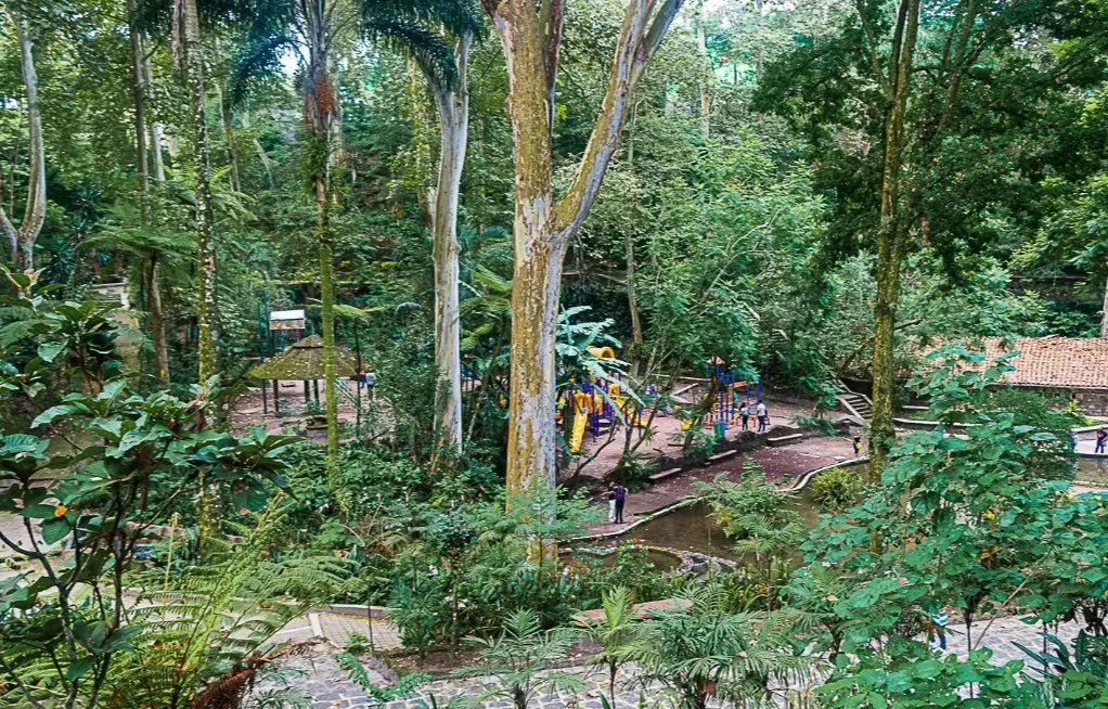 Conoce el Parque Los Tecajetes en Xalapa, Veracruz, un oasis urbano lleno de manantiales, cascadas y vegetación exuberante que muchos comparan con Xilitla. Descubre qué hacer y por qué debes visitarlo. ¿Ya lo conoces?