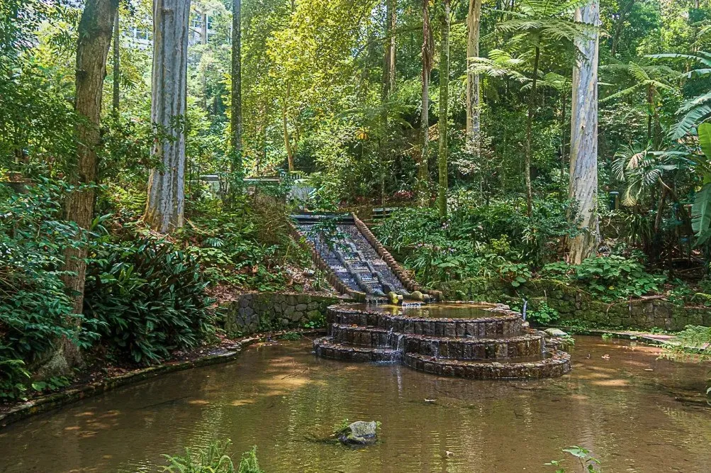 Conoce el Parque Los Tecajetes en Xalapa, Veracruz, un oasis urbano lleno de manantiales, cascadas y vegetación exuberante que muchos comparan con Xilitla. Descubre qué hacer y por qué debes visitarlo. ¿Ya lo conoces?