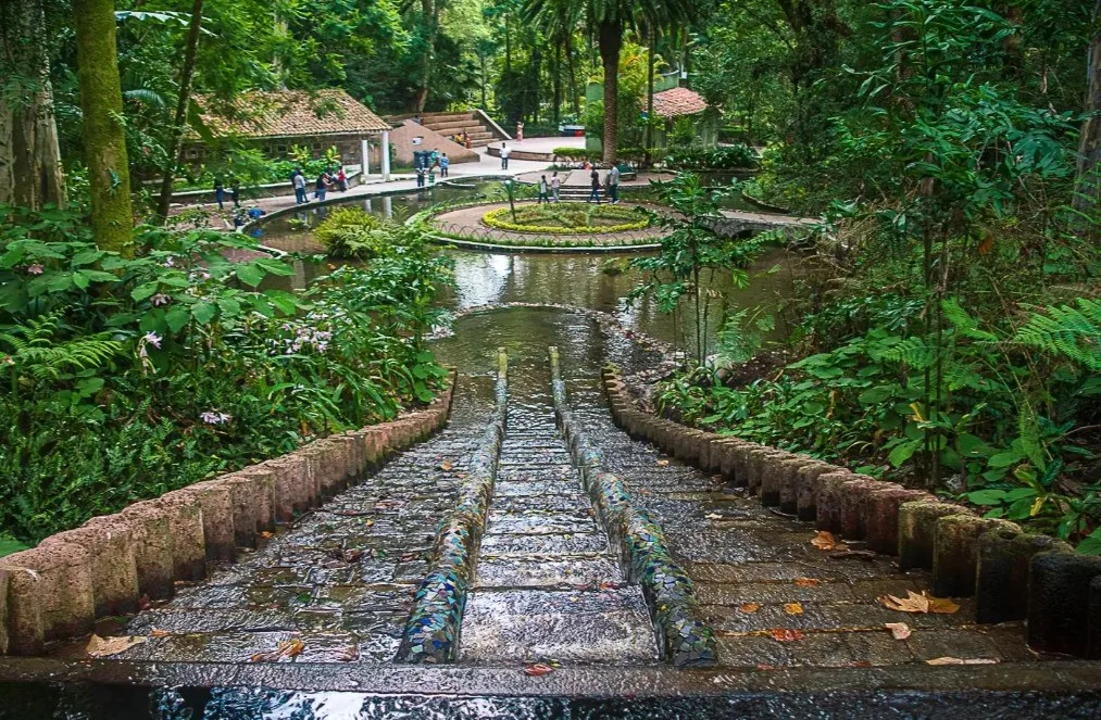 Conoce el Parque Los Tecajetes en Xalapa, Veracruz, un oasis urbano lleno de manantiales, cascadas y vegetación exuberante que muchos comparan con Xilitla. Descubre qué hacer y por qué debes visitarlo. ¿Ya lo conoces?