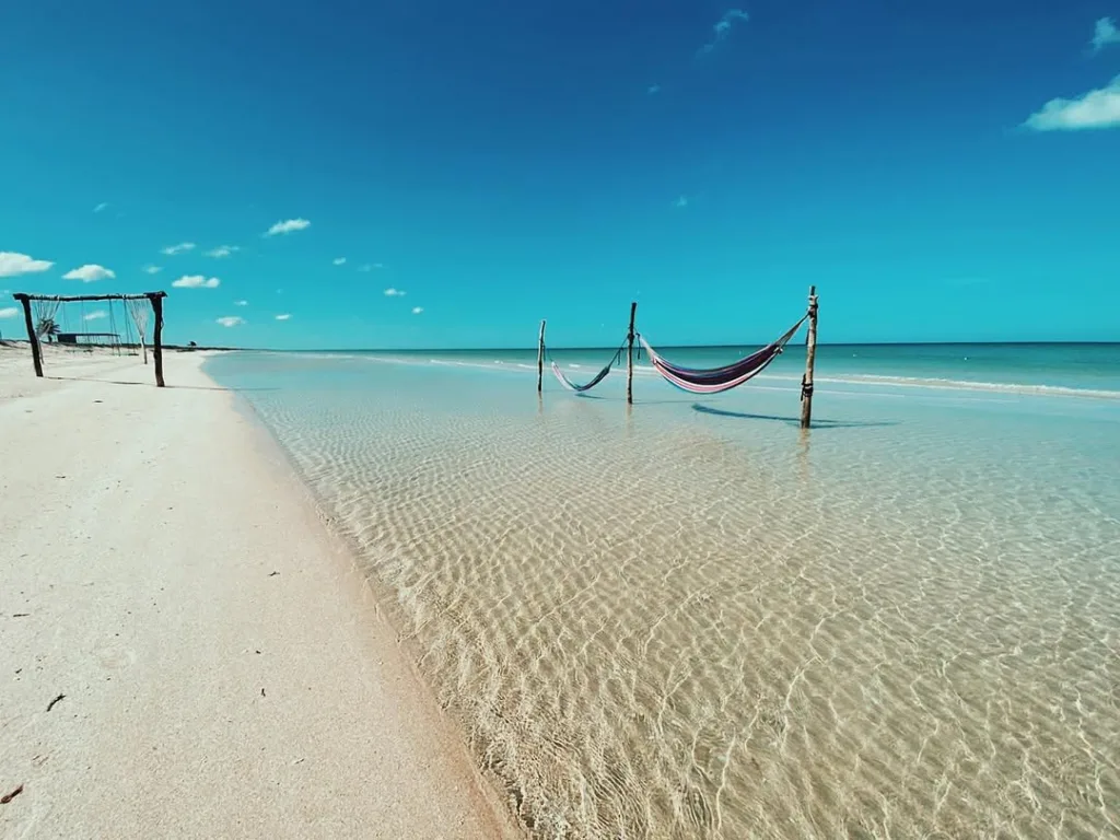 ¿Buscas una alternativa a Holbox sin gastar tanto dinero? Descubre Sabancuy, una playa poco conocida con aguas cristalinas, arena suave, naturaleza intacta y una atmósfera tranquila ideal para escapar del turismo masivo. ¿Ya lo conocías?