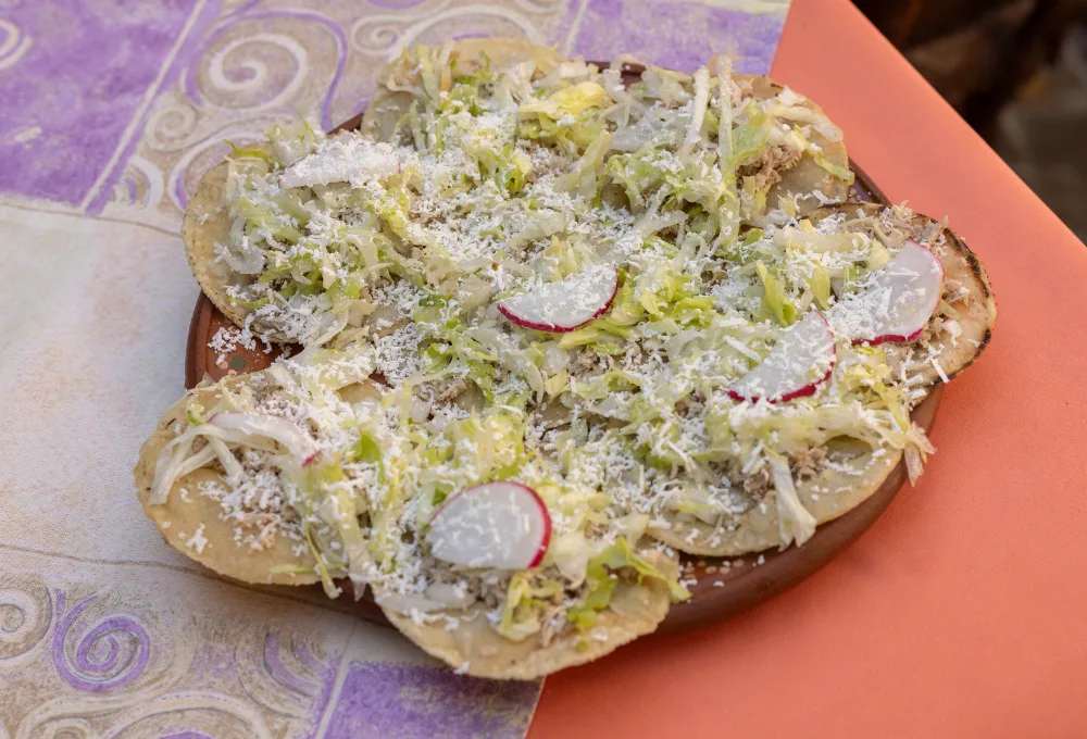 Gastronomía en Sayula, Pueblo Mägico en Jalisco.