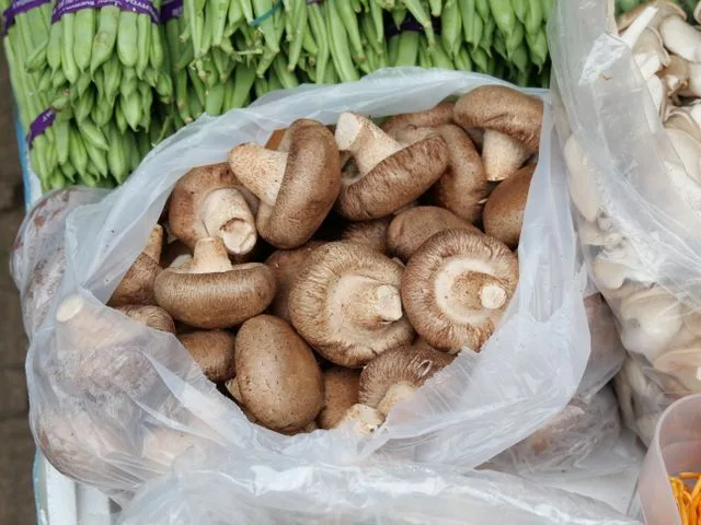 En Michoacán aprederás de los mejores cocineros recetas con hongos/Foto: Pexels
