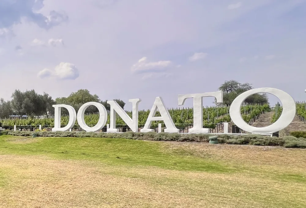 enoturismo en Querétaro. Viñedo Donato
