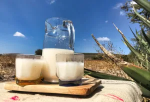 ¿Cuál es la diferencia entre pulque curado y pulque natural y cómo saber si está adulterado?