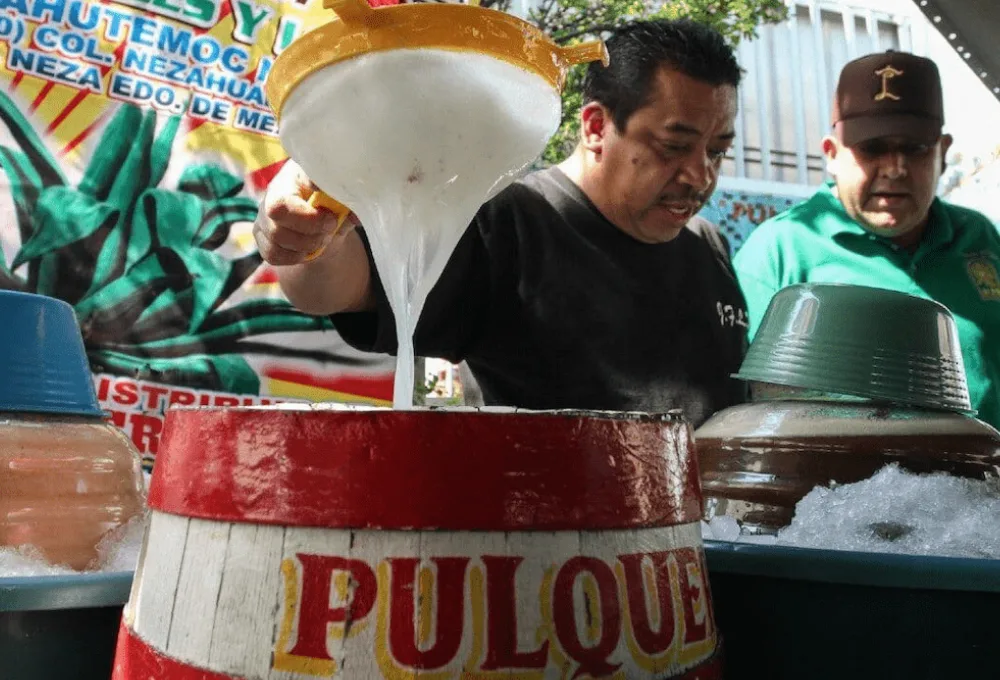 Pulque natural 