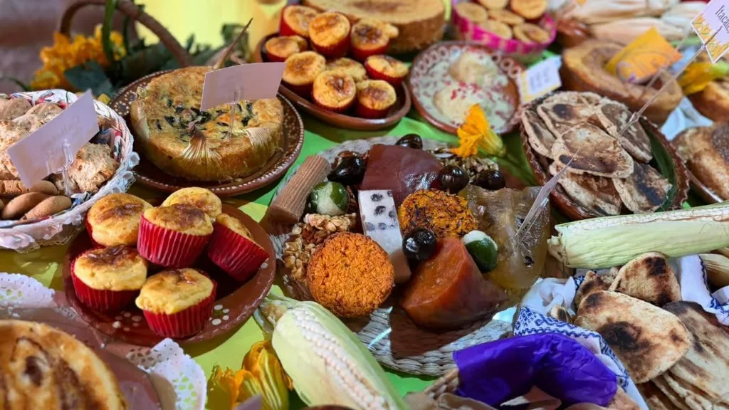 Si eres fan de los esquites, los elotes preparados y las tortillas hechas a mano, no te pierdas la Feria del Elote y la Tortilla 2026 en CDMX. Te contamos cuándo es, dónde será y qué podrás encontrar.