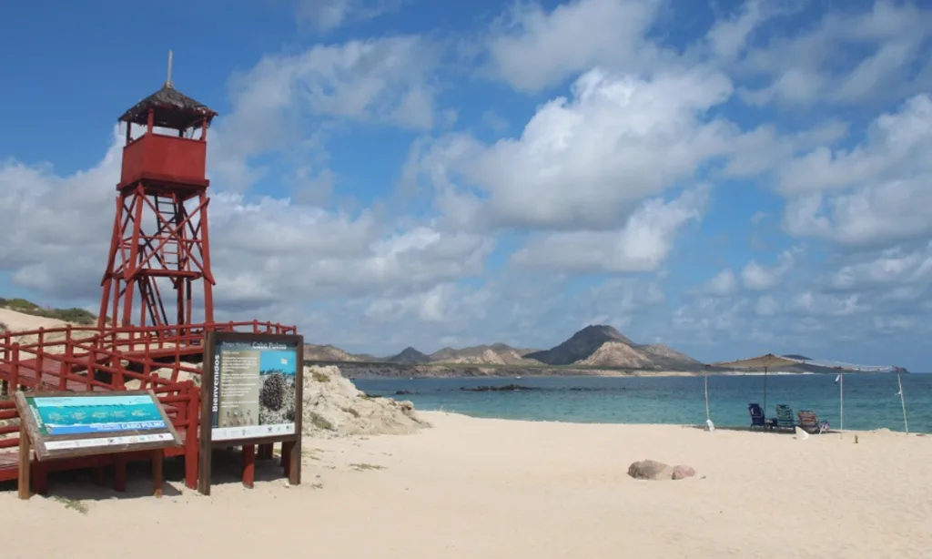 Sectur celebra la aprobación del proyecto iCOAST por parte del Fondo para el Medio Ambiente Mundial. Conoce qué es, cómo beneficiará a las costas mexicanas, qué estados participarán y por qué representa un paso histórico hacia un turismo más sostenible.