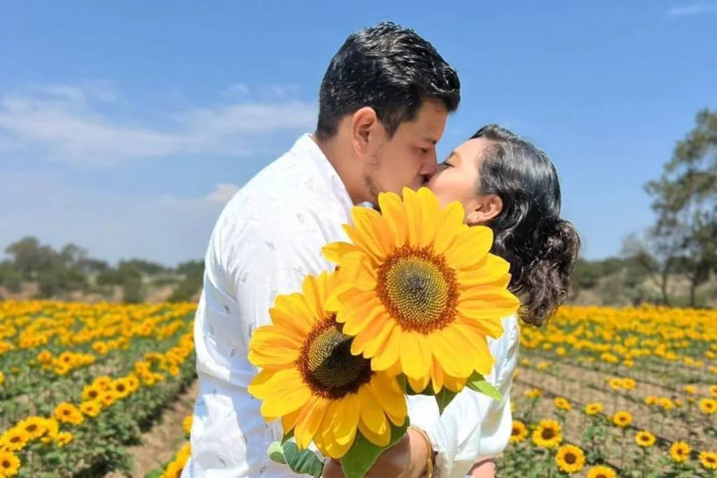 Descubre Santum, el campo de girasoles iluminado de noche en Tlaxcala. Conoce dónde está, cuánto cuesta, qué actividades ofrece y por qué se ha convertido en una de las experiencias más sorprendentes cerca de la CDMX. ¿Ya lo conocías?