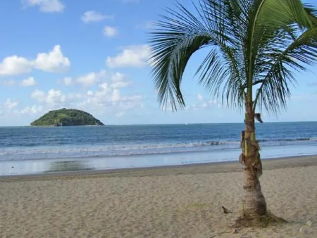 Descubre por qué Rincón de Guayabitos, en Nayarit, es considerada la alberca natural más grande de México. Conoce qué hacer, cómo llegar, sus playas, historia y atractivos para unas vacaciones inolvidables. ¿Te lanzarás a la aventura?