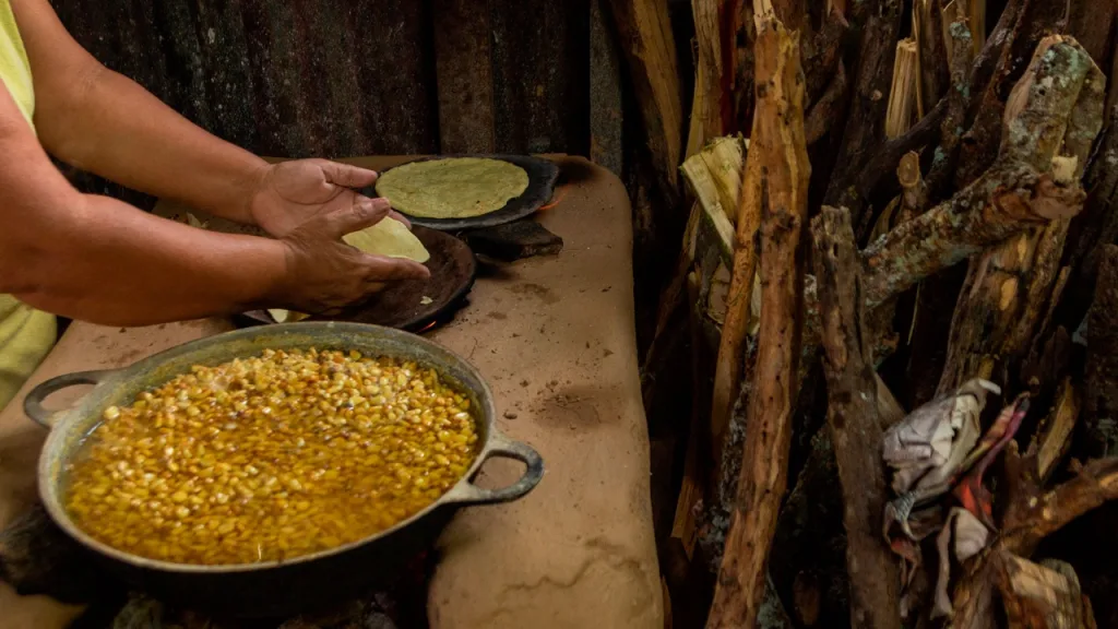 Descubre por qué la tortilla es considerada el corazón de la gastronomía mexicana. Conoce su historia, origen prehispánico, importancia cultural, nutricional y el papel que sigue desempeñando en la vida cotidiana de millones de mexicanos.