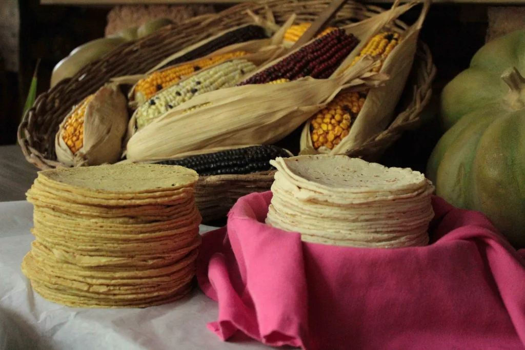 Descubre por qué la tortilla es considerada el corazón de la gastronomía mexicana. Conoce su historia, origen prehispánico, importancia cultural, nutricional y el papel que sigue desempeñando en la vida cotidiana de millones de mexicanos.