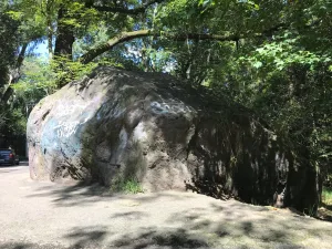 Descubre la historia de la Piedra Encantada de Tlalpan, uno de los sitios más misteriosos de la Ciudad de México. Conoce el origen de su leyenda, dónde se encuentra y por qué sigue despertando temor y curiosidad.