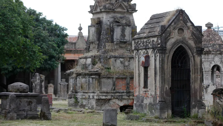 Descubre la historia del Vampiro del Panteón de Belén en Guadalajara. Conoce quién fue el Conde de Baldor, cuál es el origen de esta famosa leyenda, qué representa el misterioso árbol y por qué sigue cautivando a miles de visitantes.