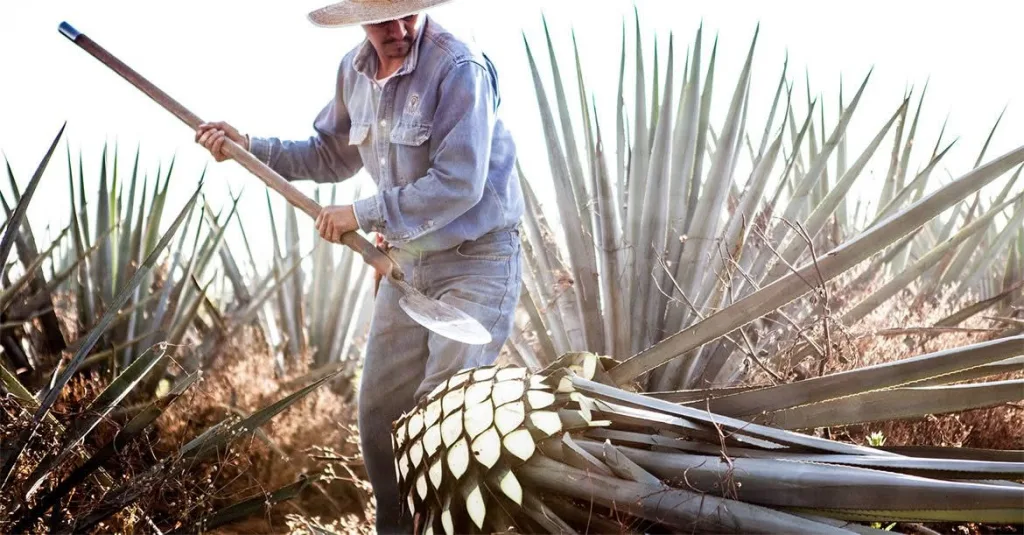 Descubre cuáles son los oficios desaparecidos en México y cómo la tecnología transformó profesiones. Conoce su historia y legado. ¿Tus familiares se dedicaban a esto?