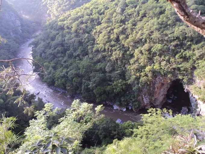 Consideradas entre las cuevas más impresionantes de América, las Grutas de Cacahuamilpa revelan un paisaje mineral de dimensiones monumentales en el corazón de Guerrero/Foto: Semarnat