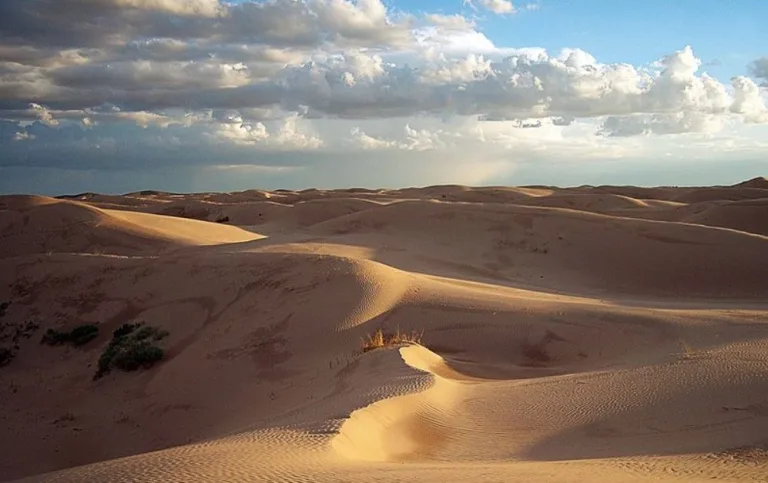 Las Dunas de Samalayuca, en Chihuahua, despliegan un mar infinito de arena dorada que ha cautivado tanto a exploradores como a cineastas de Hollywood. /Foto: Wikimedia Commons