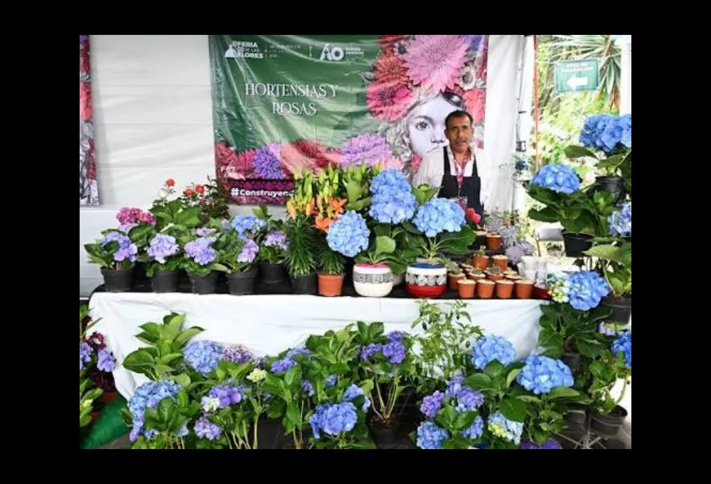 Feria de las Flores de Álvaro Obregón