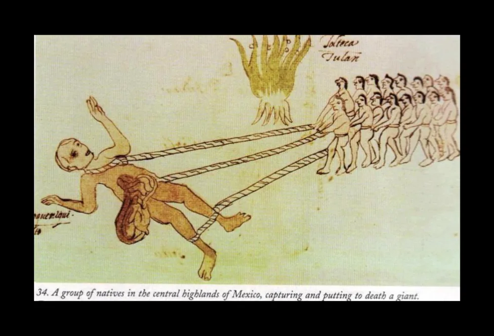 ¿Quiénes eran los Quinametzin? 