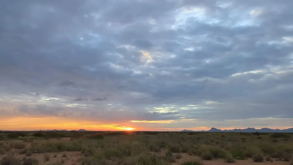 Descubre qué es realmente la Zona del Silencio, el misterioso desierto ubicado entre Durango, Chihuahua y Coahuila. Conoce su historia, los fenómenos que la hicieron famosa, los nopales morados, sus cielos estrellados y qué dice la ciencia sobre este enigmático lugar.