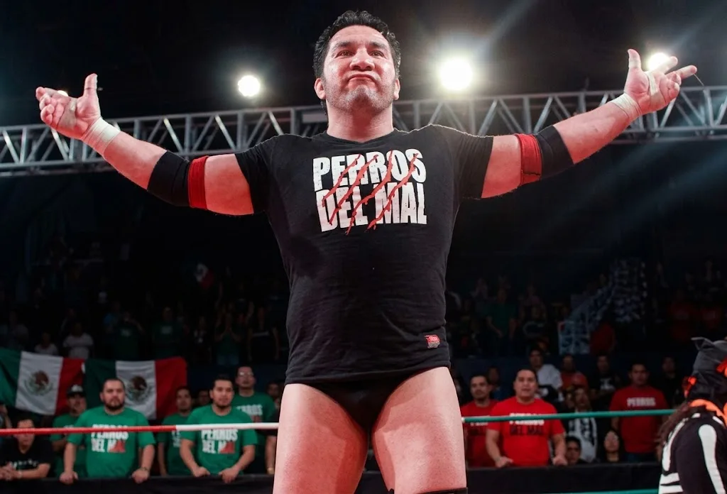 Conoce los 5 casos más trágicos de muertes de luchadores dentro y fuera del ring, sus historias, los fatales accidentes y el impacto en la seguridad.