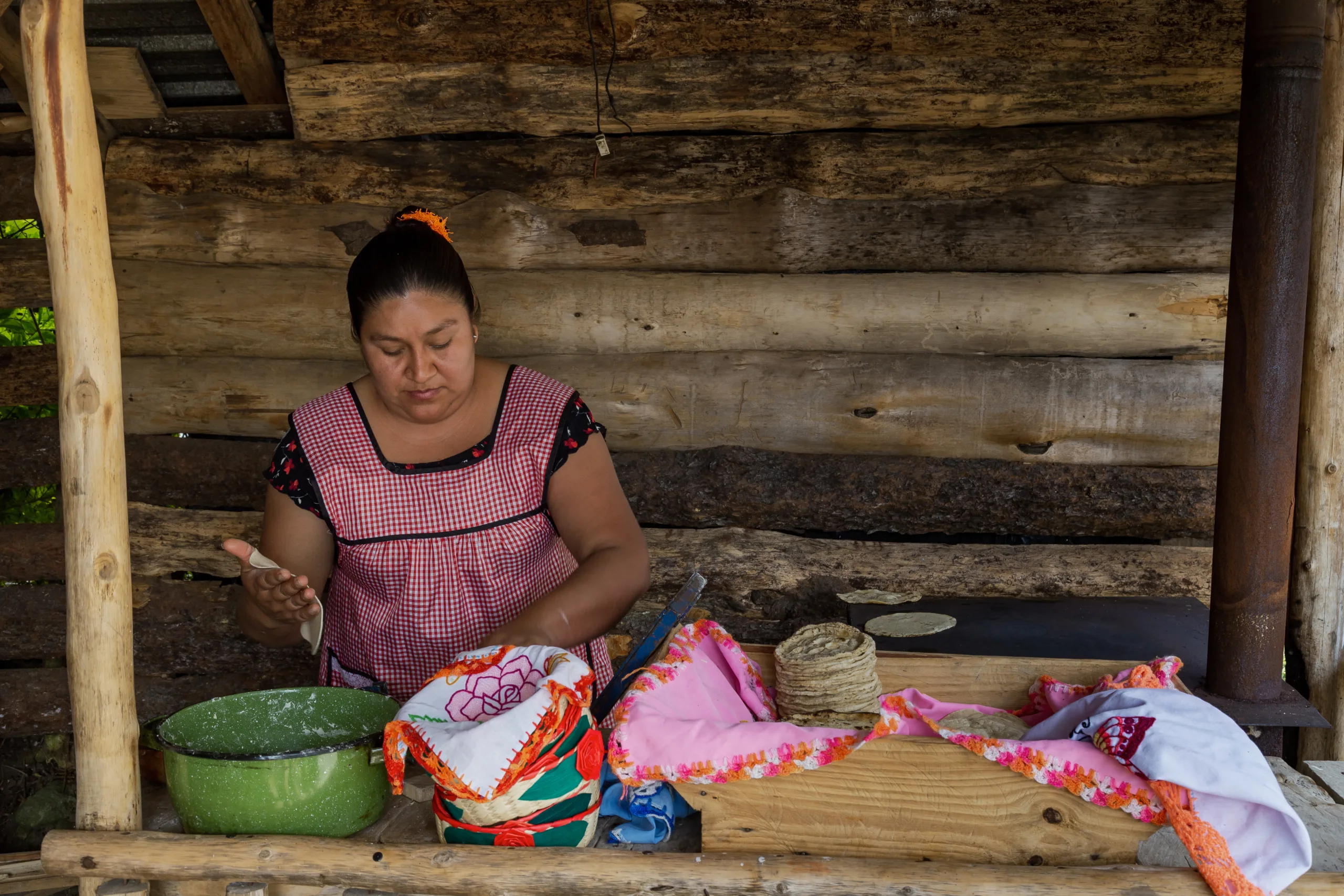 Las cocineras tradicionales conservan técnicas, ingredientes y conocimientos ancestrales que mantienen viva la riqueza gastronómica y cultural de México./Foto: Envato