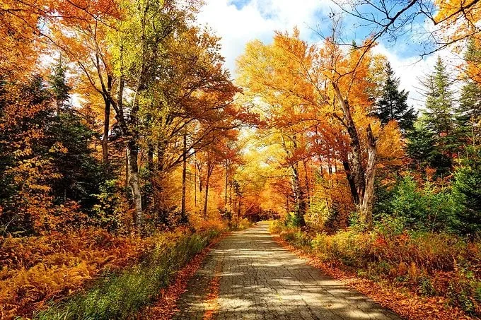 Días más cortos, paisajes que cambian de color y noches que poco a poco le ganan terreno al Sol. Detrás de esta temporada ocurren fenómenos naturales y astronómicos mucho más interesantes de lo que parece. ¿Ya lo sabías?