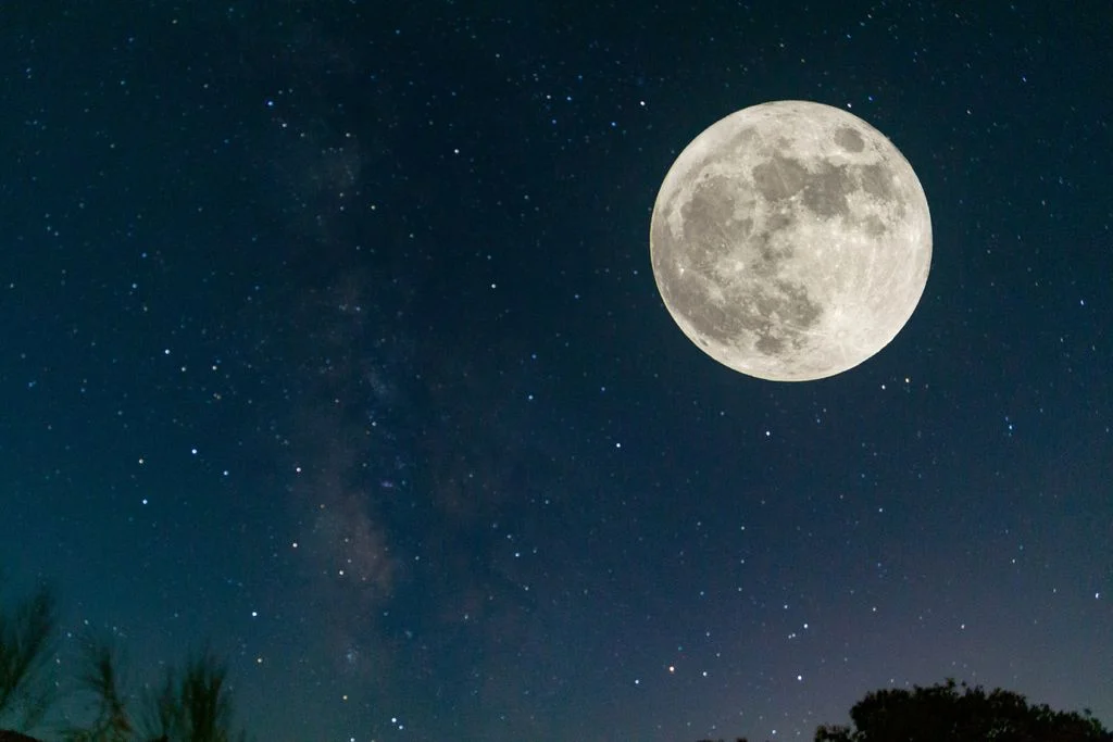 Días más cortos, paisajes que cambian de color y noches que poco a poco le ganan terreno al Sol. Detrás de esta temporada ocurren fenómenos naturales y astronómicos mucho más interesantes de lo que parece. ¿Ya lo sabías?