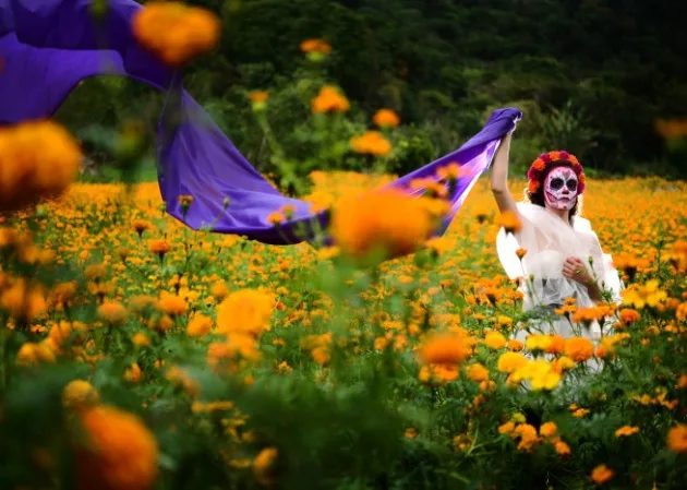 Cuando octubre pinta de naranja mercados, campos, casas y calles de México sabemos que una de nuestras celebraciones más entrañables está cerca. Pero detrás de esta flor existe una historia milenaria que comenzó mucho antes de las ofrendas que conocemos actualmente. ¿Te gusta esta flor?