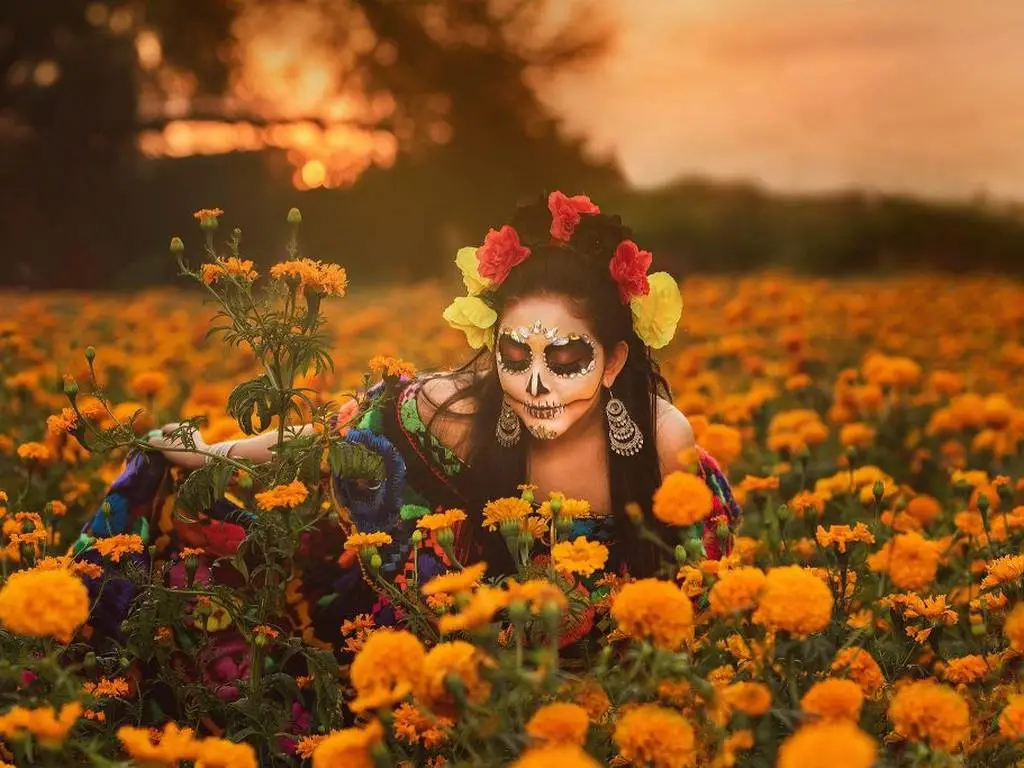 Cuando octubre pinta de naranja mercados, campos, casas y calles de México sabemos que una de nuestras celebraciones más entrañables está cerca. Pero detrás de esta flor existe una historia milenaria que comenzó mucho antes de las ofrendas que conocemos actualmente. ¿Te gusta esta flor?
