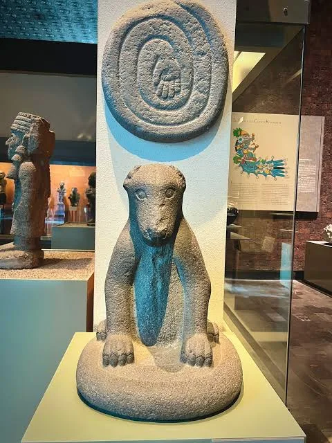 En las profundidades de los lagos y manantiales del México antiguo acechaba una criatura cuya apariencia parecía inofensiva. Sin embargo, los relatos mexicas le atribuían un poder aterrador y un vínculo directo con el mundo de los dioses.