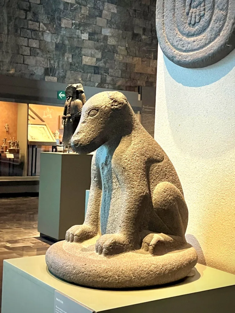 En las profundidades de los lagos y manantiales del México antiguo acechaba una criatura cuya apariencia parecía inofensiva. Sin embargo, los relatos mexicas le atribuían un poder aterrador y un vínculo directo con el mundo de los dioses.