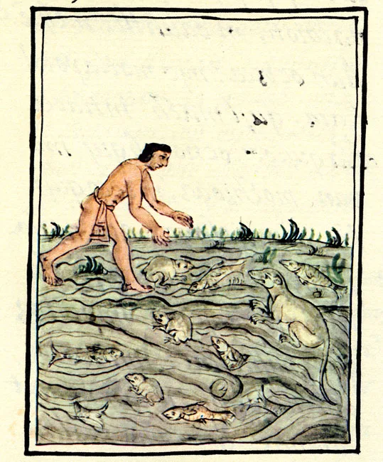 En las profundidades de los lagos y manantiales del México antiguo acechaba una criatura cuya apariencia parecía inofensiva. Sin embargo, los relatos mexicas le atribuían un poder aterrador y un vínculo directo con el mundo de los dioses.