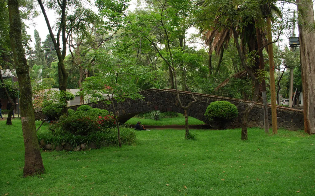 Descubre la leyenda de los puentes de Chimalistac, uno de los rincones más encantadores y misteriosos de la CDMX . Conoce su historia, el antiguo río que cruzaba la zona y por qué algunos aseguran escuchar los rezos de los monjes hasta nuestros días.