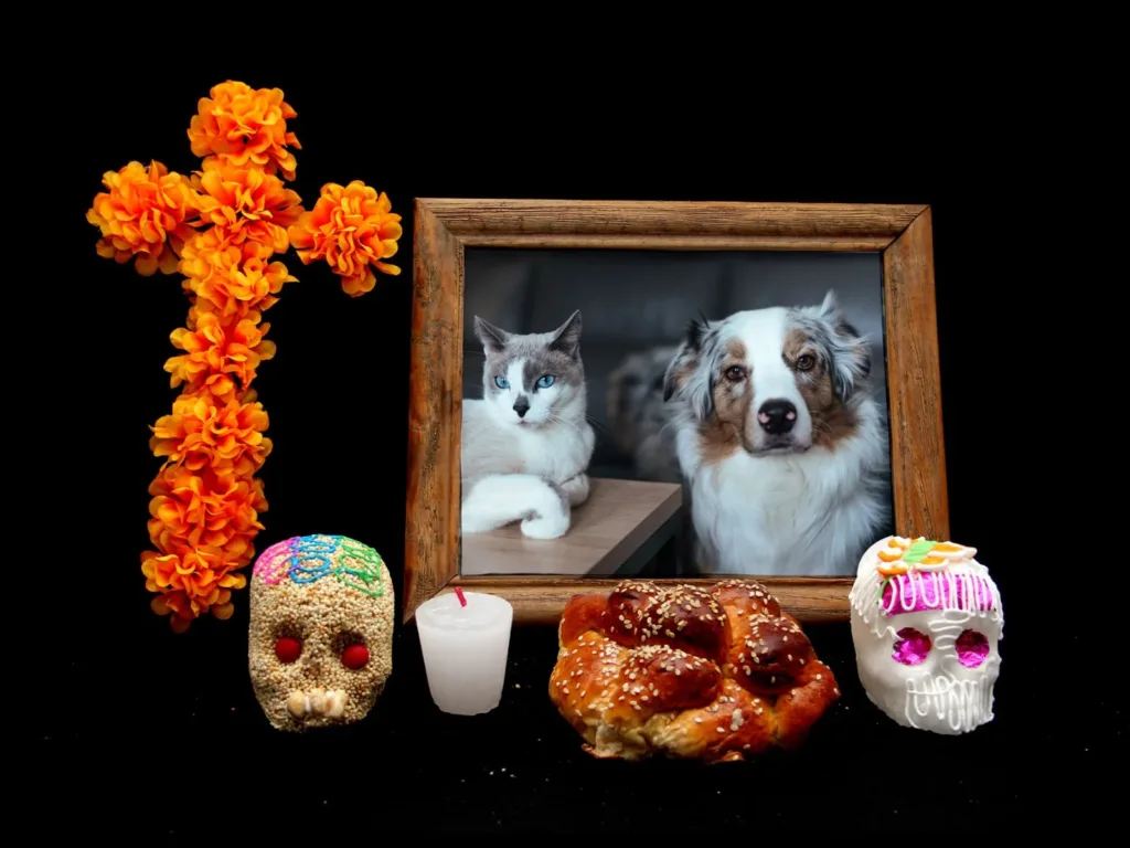 Porque hay compañeros que dejan huellas imposibles de borrar, una de las tradiciones más entrañables de México también se ha convertido en una forma de agradecerles todo el amor que nos regalaron. ¿Ya sabes cómo recordar a tu mascota?