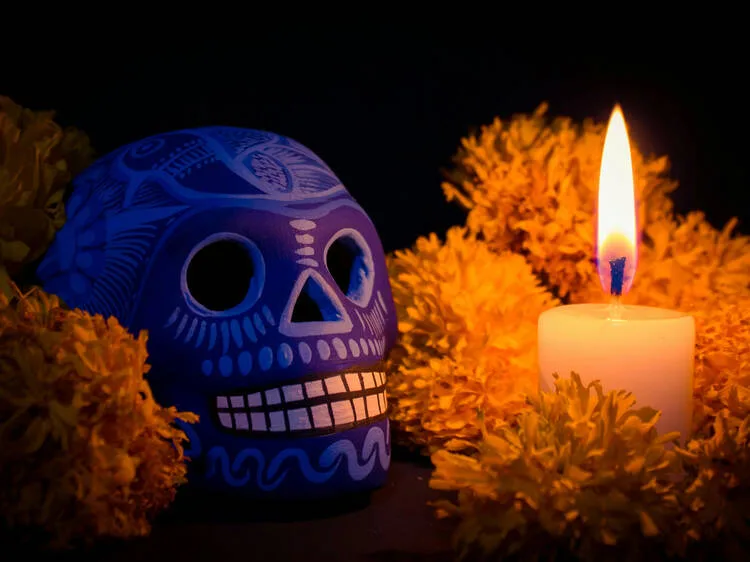 Porque hay compañeros que dejan huellas imposibles de borrar, una de las tradiciones más entrañables de México también se ha convertido en una forma de agradecerles todo el amor que nos regalaron. ¿Ya sabes cómo recordar a tu mascota?