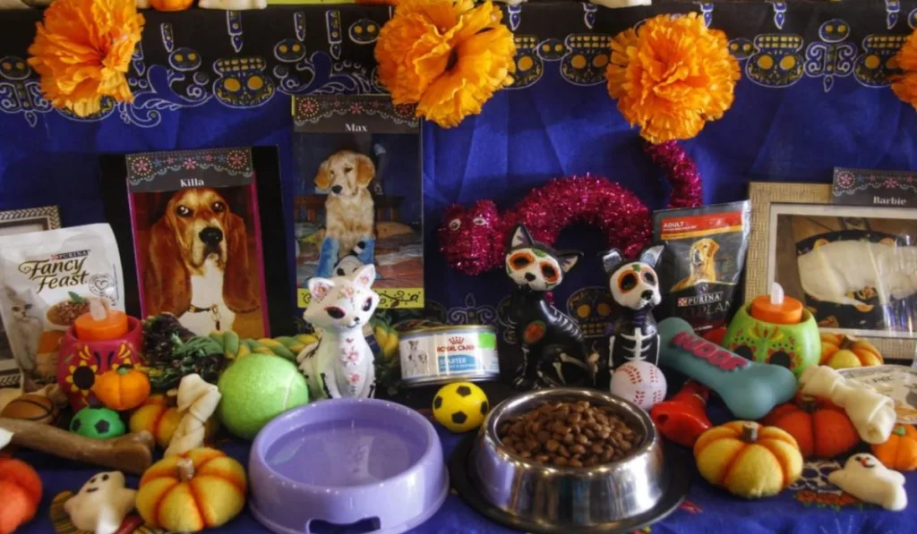 Porque hay compañeros que dejan huellas imposibles de borrar, una de las tradiciones más entrañables de México también se ha convertido en una forma de agradecerles todo el amor que nos regalaron. ¿Ya sabes cómo recordar a tu mascota?