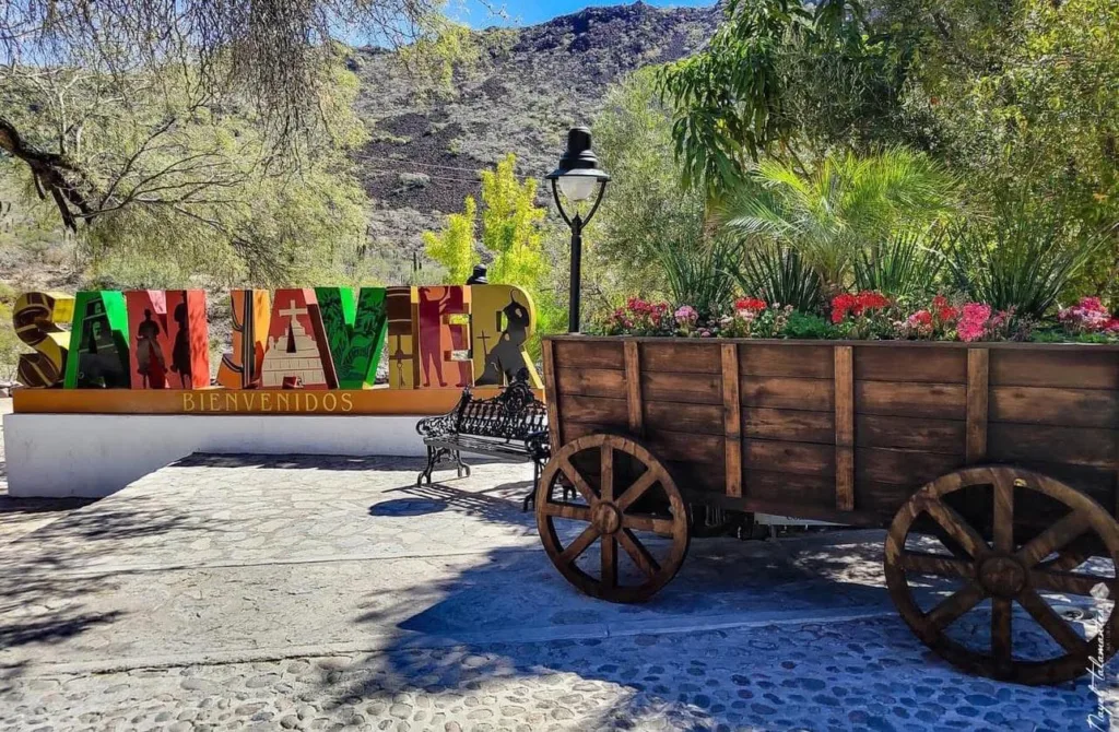 En San Javier, el verdadero milagro no es únicamente la iglesia barroca que domina el oasis; también son los olivares, los manantiales y los antiguos sistemas de riego que permitieron que la vida floreciera entre las montañas de Baja California Sur/Foto: Sectur