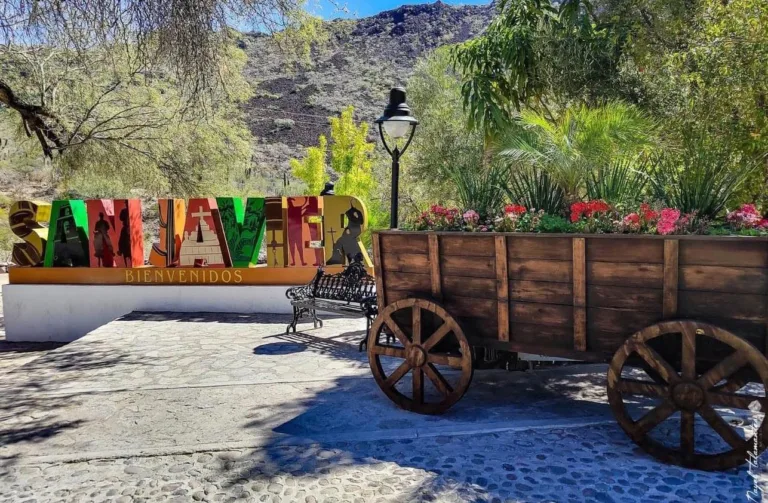 En San Javier, el verdadero milagro no es únicamente la iglesia barroca que domina el oasis; también son los olivares, los manantiales y los antiguos sistemas de riego que permitieron que la vida floreciera entre las montañas de Baja California Sur/Foto: Sectur
