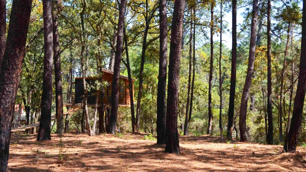 ¿Hace cuánto no despiertas con el canto de los pájaros en lugar del despertador? Entre bosques, montañas y rincones acogedores, estas escapadas prometen cambiar el ruido de la ciudad por unos días de tranquilidad.