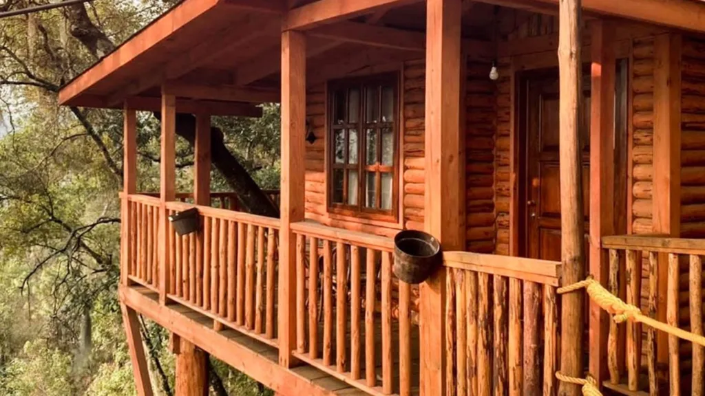 ¿Hace cuánto no despiertas con el canto de los pájaros en lugar del despertador? Entre bosques, montañas y rincones acogedores, estas escapadas prometen cambiar el ruido de la ciudad por unos días de tranquilidad.