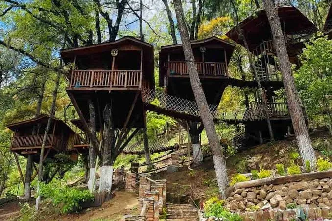 ¿Hace cuánto no despiertas con el canto de los pájaros en lugar del despertador? Entre bosques, montañas y rincones acogedores, estas escapadas prometen cambiar el ruido de la ciudad por unos días de tranquilidad.
