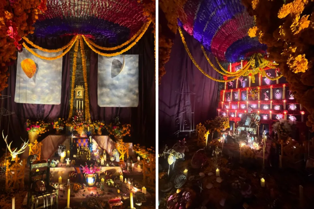 Descubre 5 ofrendas y experiencias de Día de Muertos 2026 en CDMX: Zócalo, UNAM, Chapultepec, Claustro de Sor Juana y Anahuacalli. ¿Cuál será la mejor?