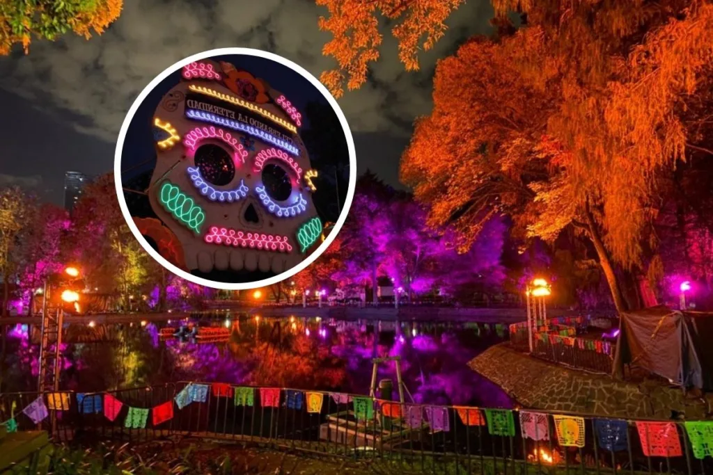 Descubre 5 ofrendas y experiencias de Día de Muertos 2026 en CDMX: Zócalo, UNAM, Chapultepec, Claustro de Sor Juana y Anahuacalli. ¿Cuál será la mejor?