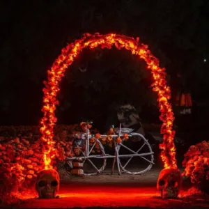 ¿Un paisaje de película sin viajar demasiado lejos? Existe un lugar donde los campos se pintan de naranja, aparecen criaturas fantásticas y las noches se llenan de leyendas. Te contamos cómo visitarlo.