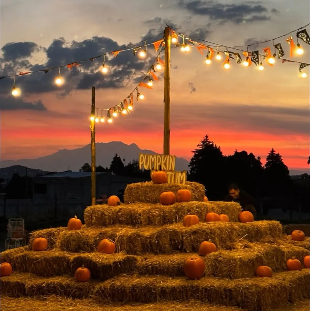 ¿Un paisaje de película sin viajar demasiado lejos? Existe un lugar donde los campos se pintan de naranja, aparecen criaturas fantásticas y las noches se llenan de leyendas. Te contamos cómo visitarlo.